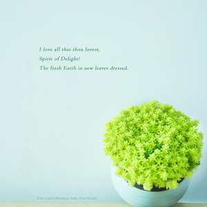 女人另类zozo异物
